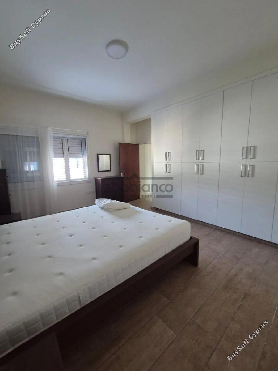 3 bedroom detached house for rent agios andreas nicosia nicosia 8748560 image 16466227