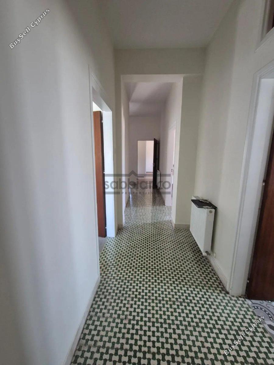3 bedroom detached house for rent agios andreas nicosia nicosia 8748560 image 16466237