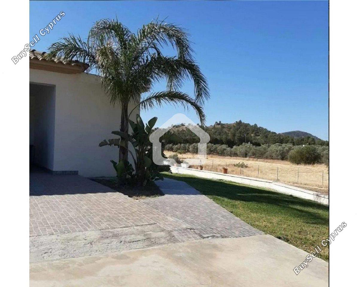 4 bedroom detached house for rent mathiatis nicosia 8542560 image 15515146
