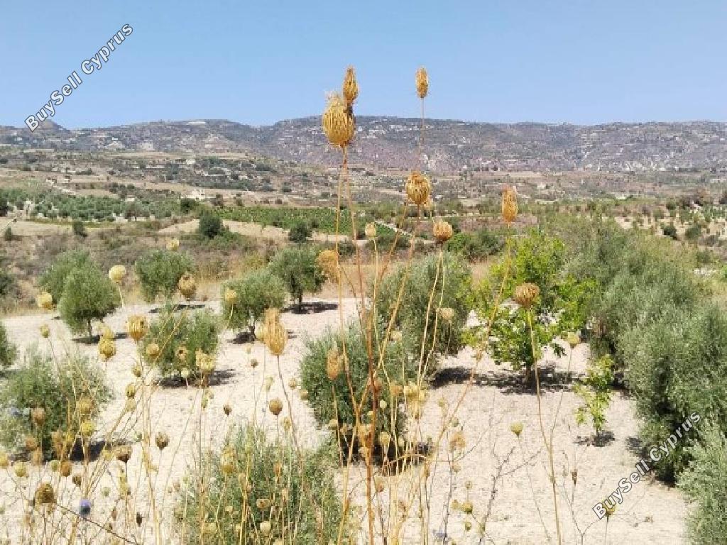 land for sale drimou paphos 826560 image 15598729