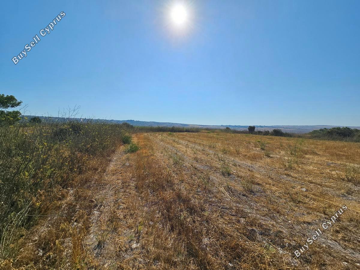 land for sale ineia paphos 1869560 image 6906605