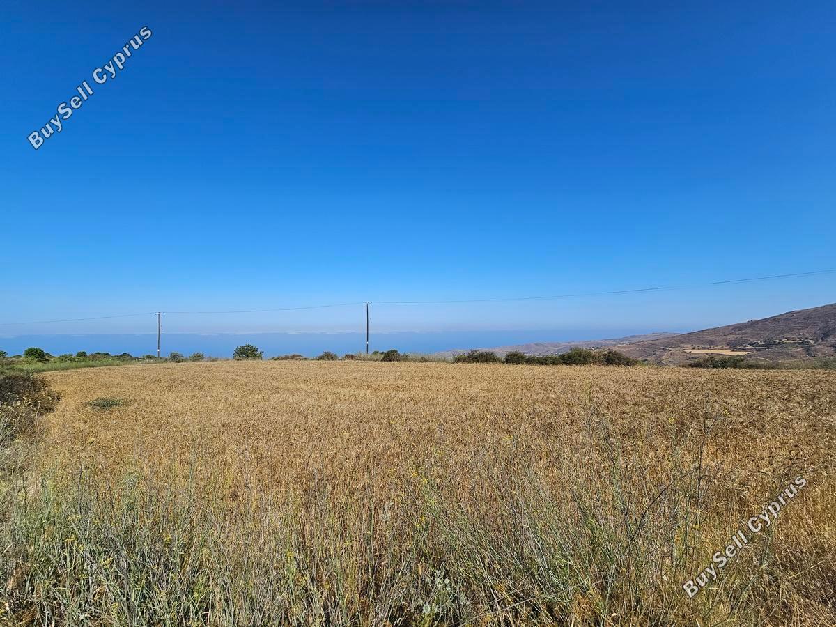 land for sale ineia paphos 1869560 image 6906606