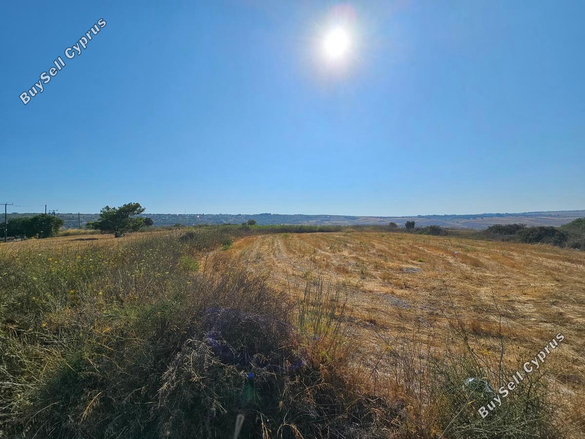 land for sale ineia paphos 1869560 image 6906608