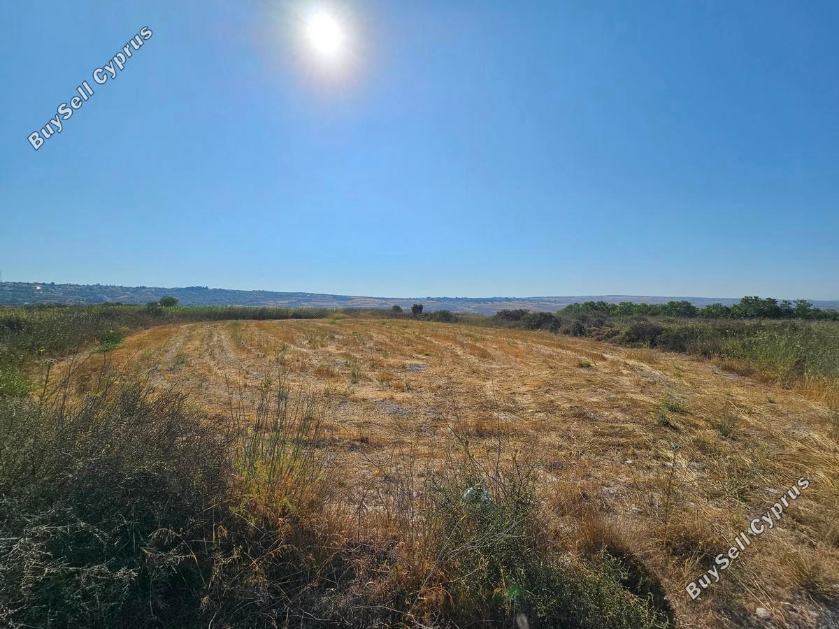 land for sale ineia paphos 1869560 image 6906609