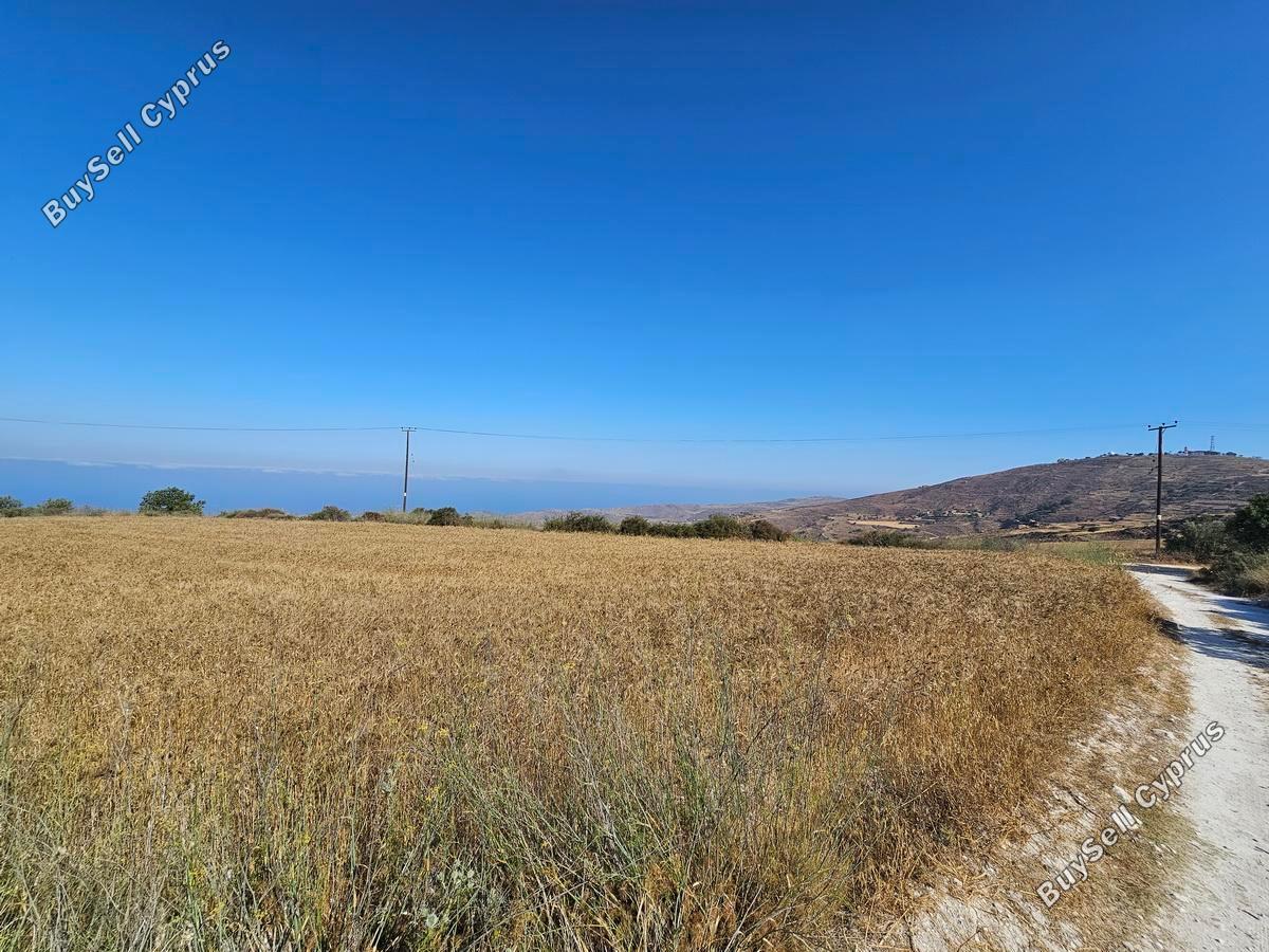 land for sale ineia paphos 1869560 image 6906611