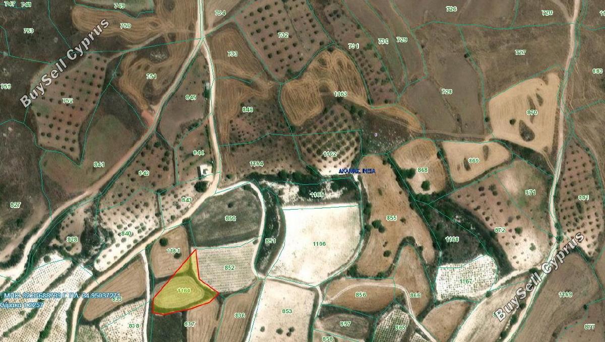 land for sale ineia paphos 1869560 image 6906612