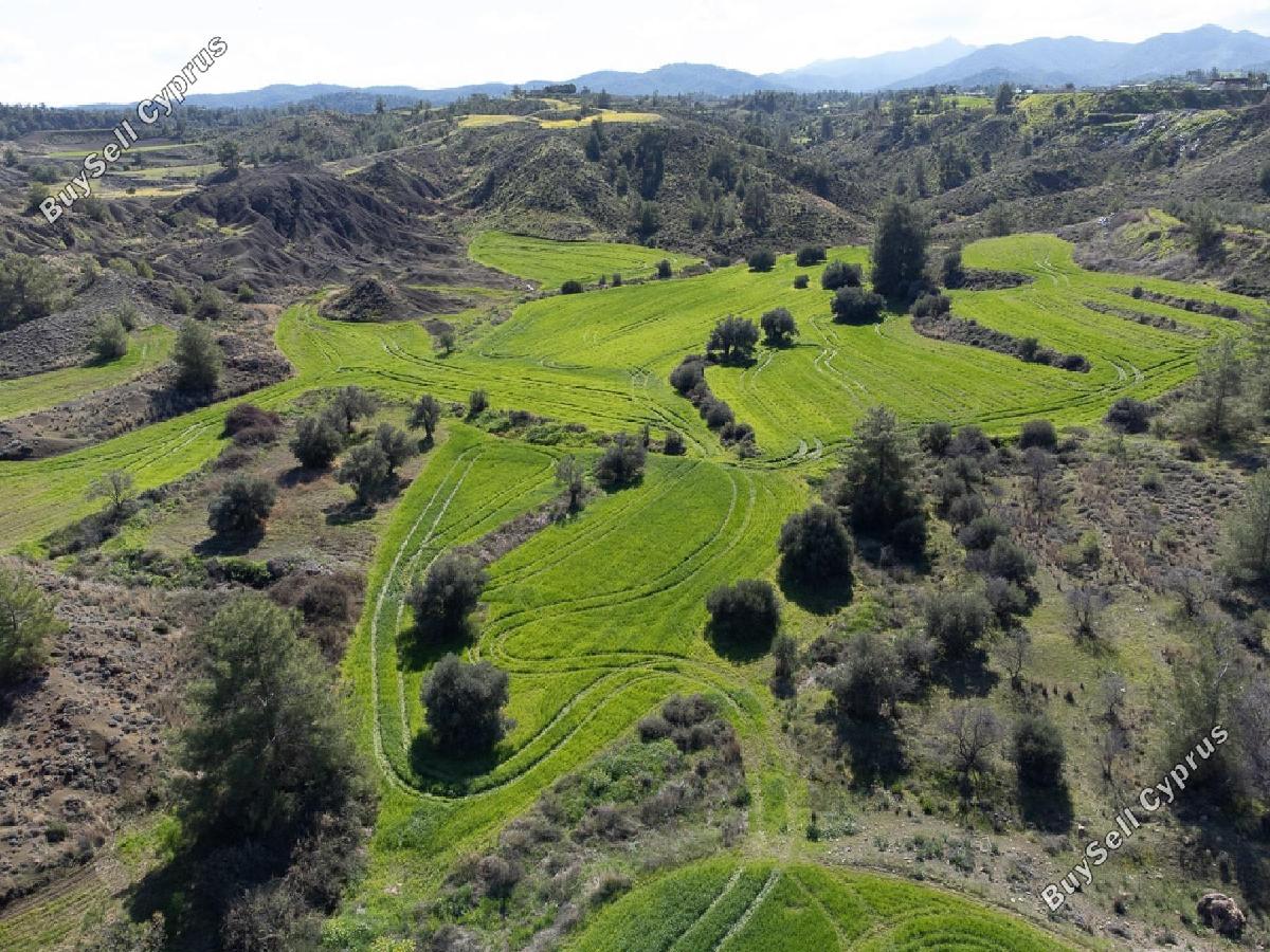 land for sale klirou nicosia 8726560 image 16332081