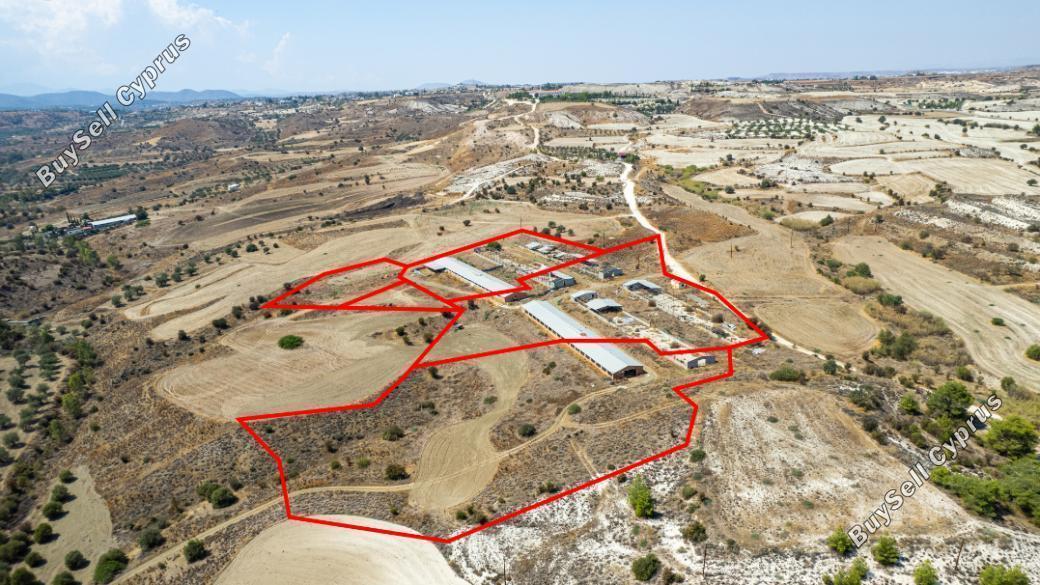 land for sale analiontas nicosia 839660 image 3868604