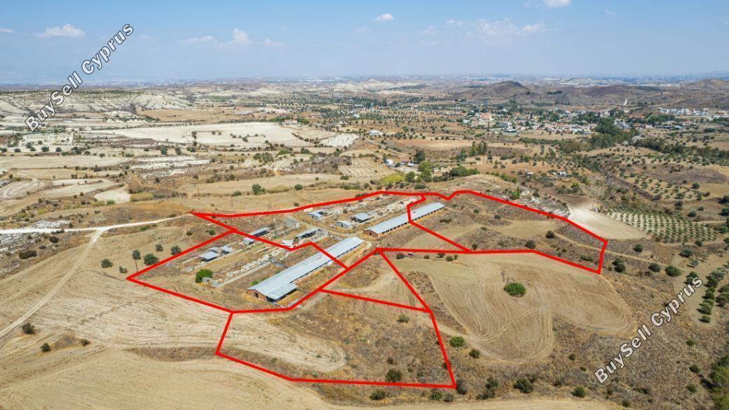 land for sale analiontas nicosia 839660 image 5963480