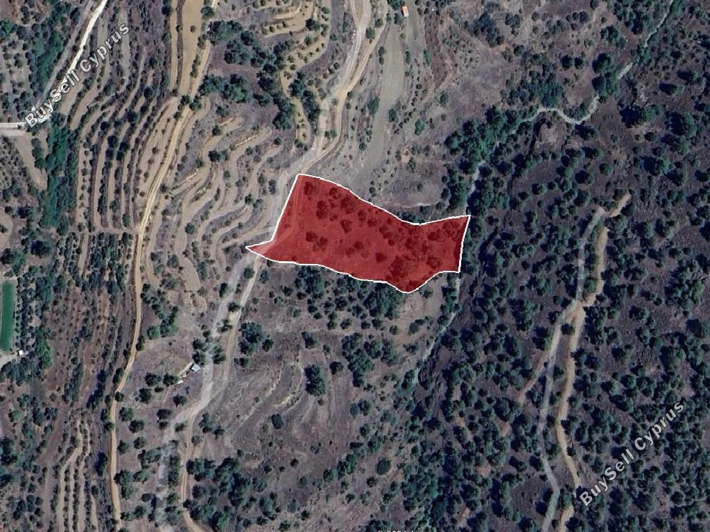 land for sale xyliatos nicosia 1380660 image 6818904
