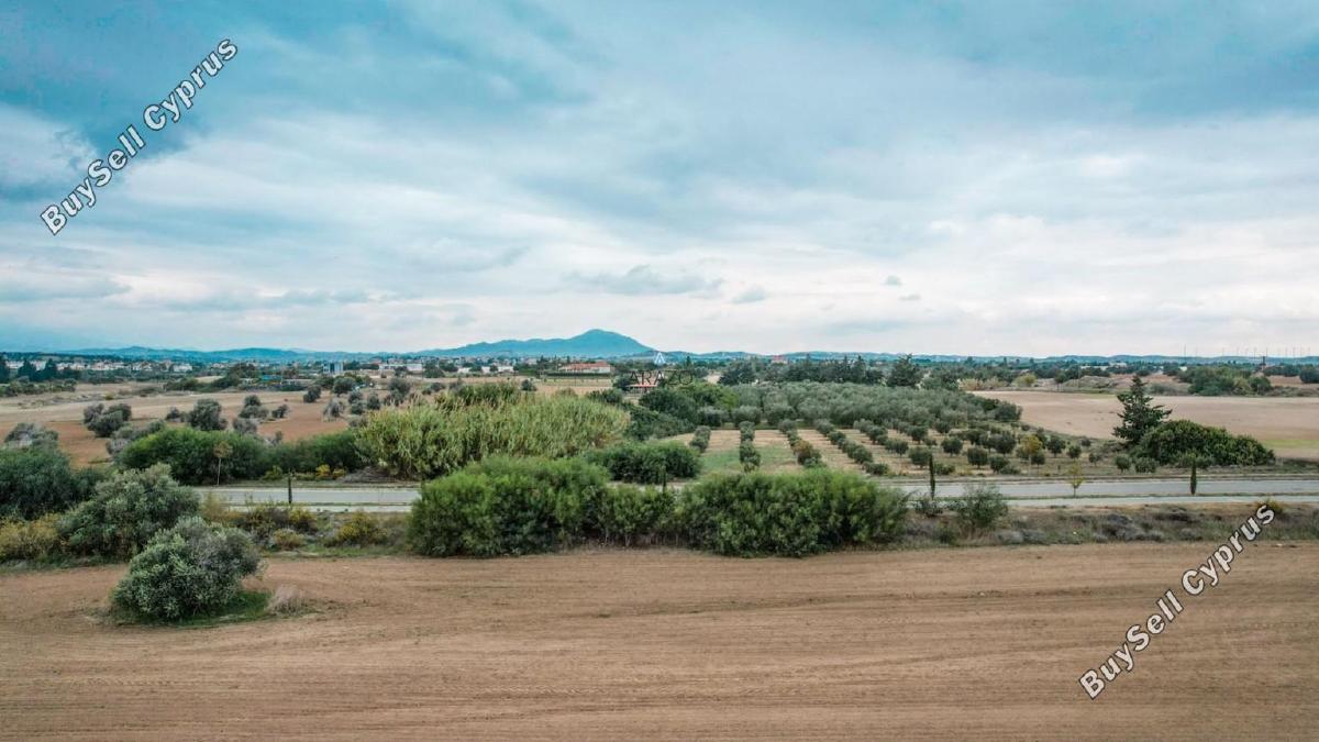 land for sale mazotos larnaca 958760 image 6411647