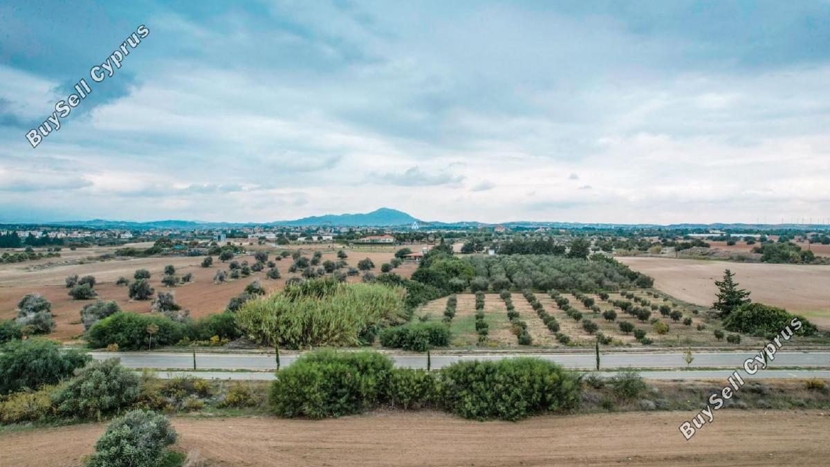 land for sale mazotos larnaca 958760 image 6411648