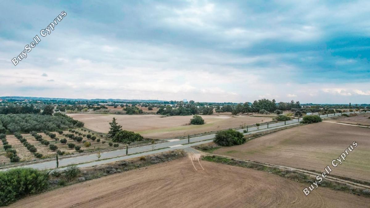 land for sale mazotos larnaca 958760 image 6411650