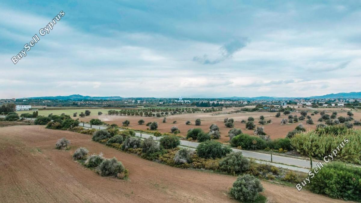 land for sale mazotos larnaca 958760 image 6411652