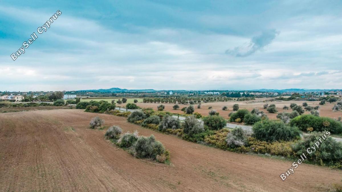 land for sale mazotos larnaca 958760 image 6411654