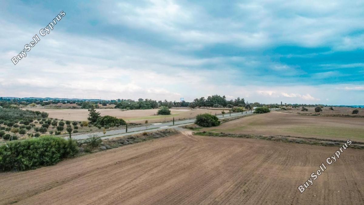 land for sale mazotos larnaca 958760 image 6411656