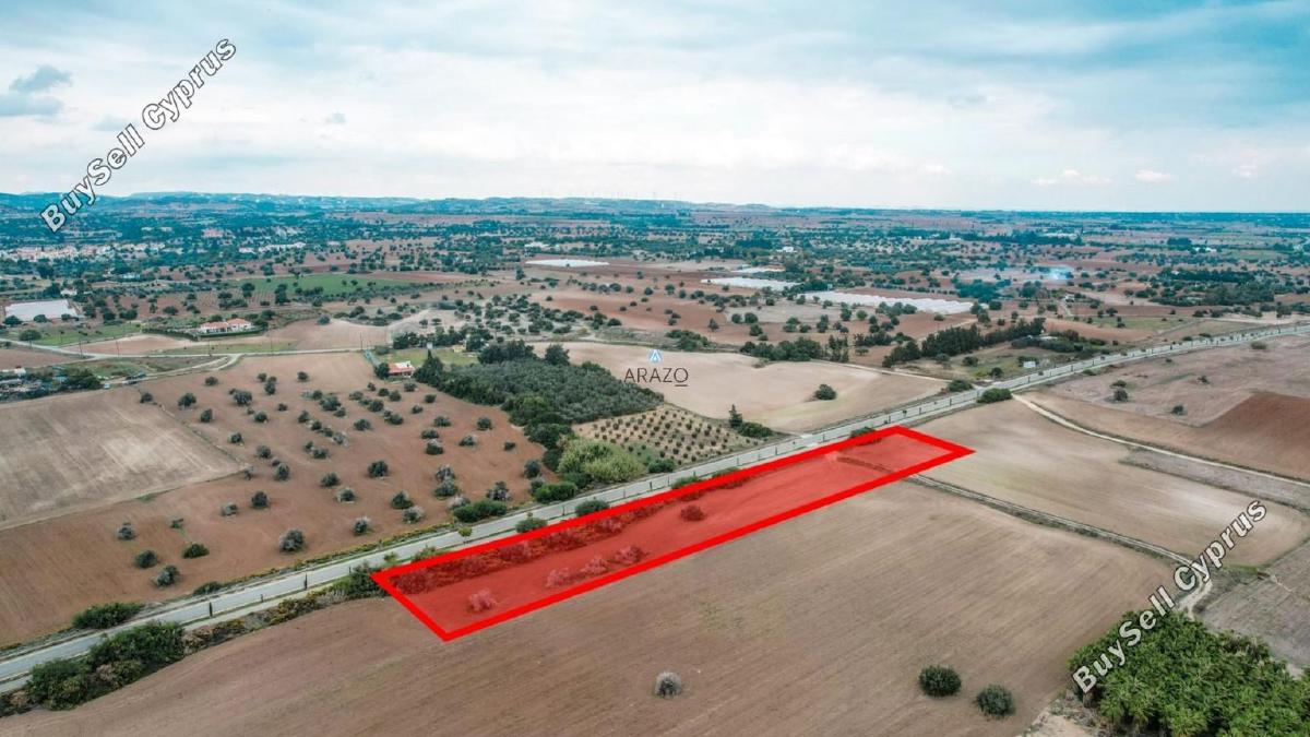 land for sale mazotos larnaca 958760 image 6411661