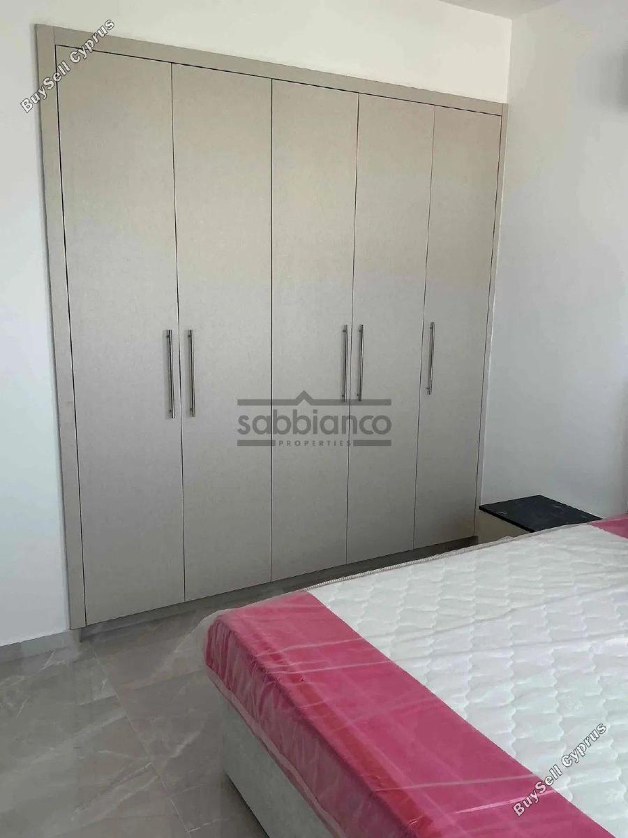 2 bedroom apartment for rent aradippou larnaca 8739860 image 16375730