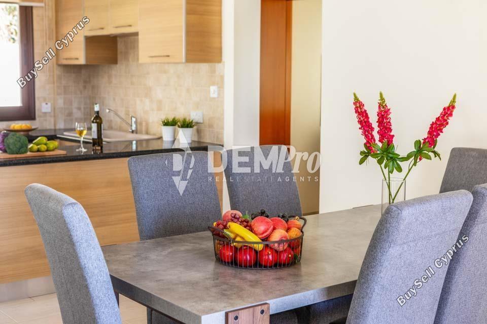 4 bedroom detached house for sale coral bay paphos 7812860 image 12699735