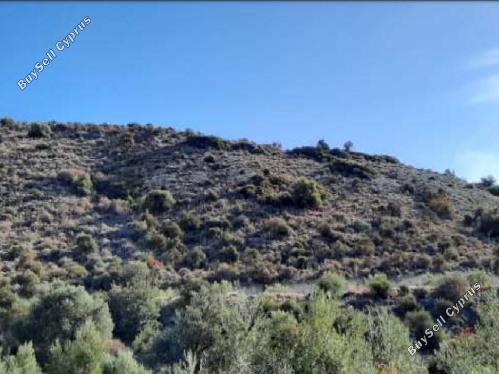 land for sale kalavasos larnaca 1262860 image 2016379