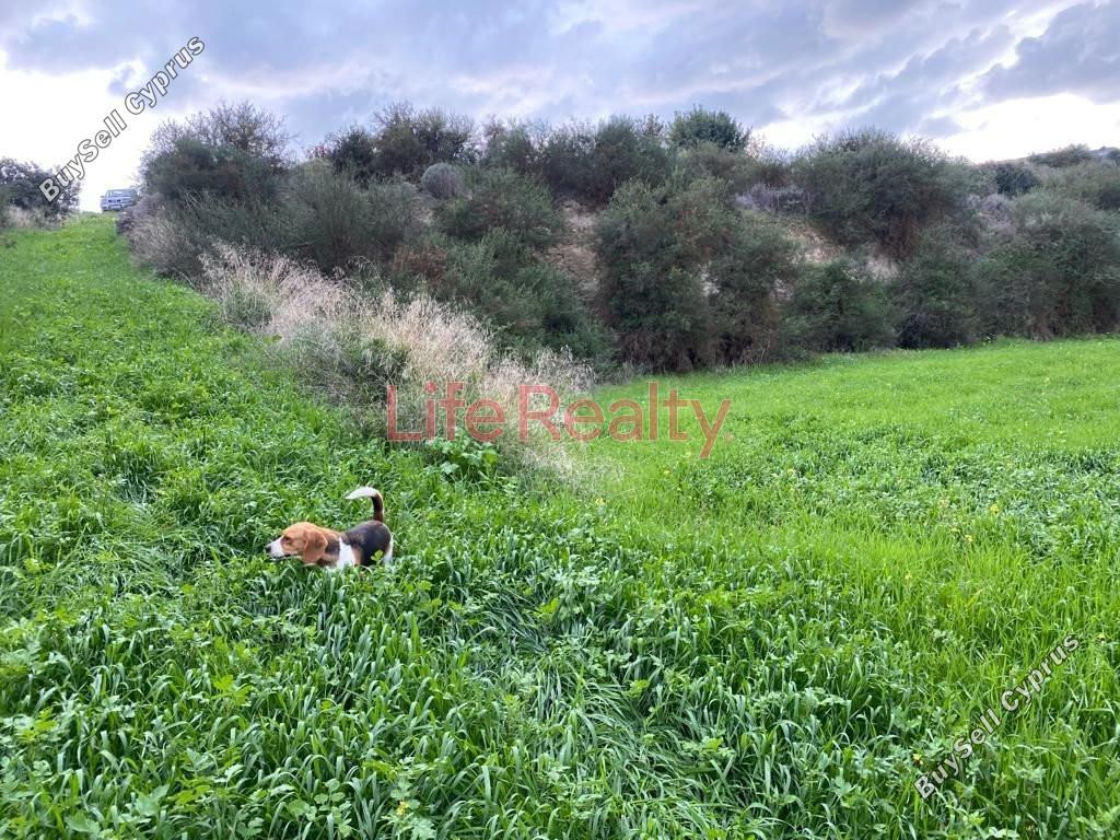 land for sale pissouri limassol 1616860 image 6608478