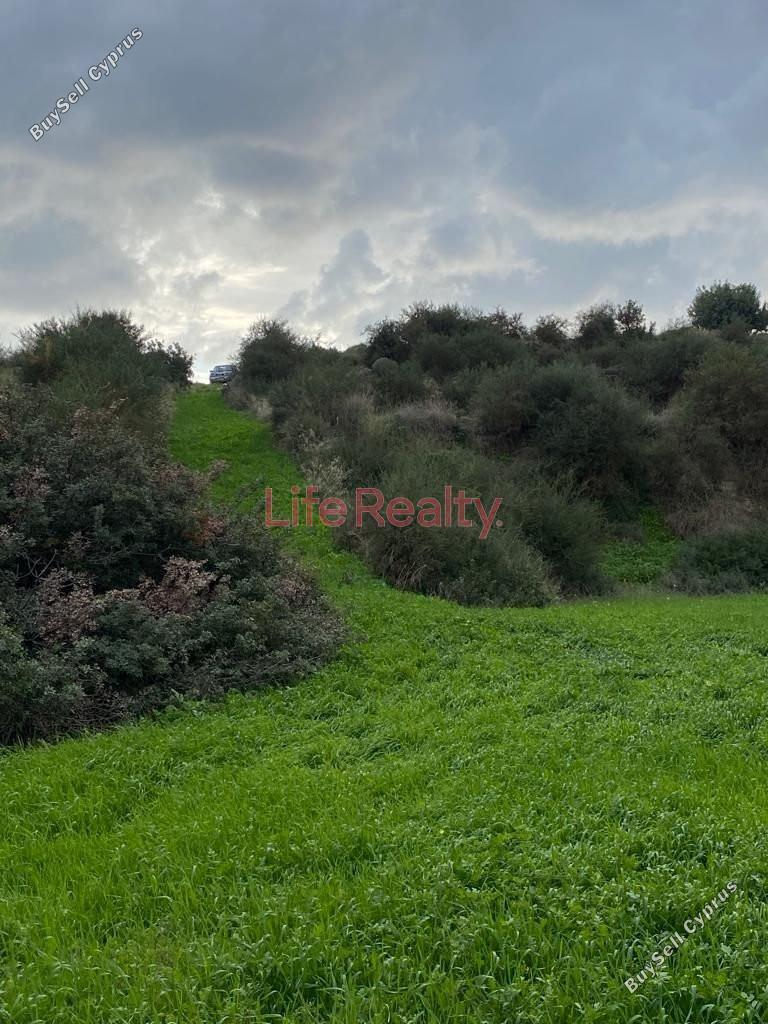 land for sale pissouri limassol 1616860 image 6608479