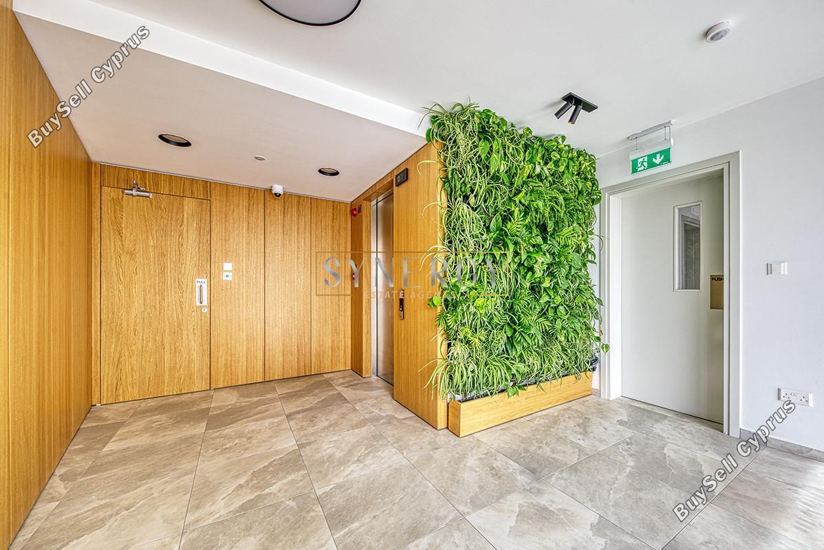 2 bedroom apartment for rent katholiki limassol 8151960 image 16032667