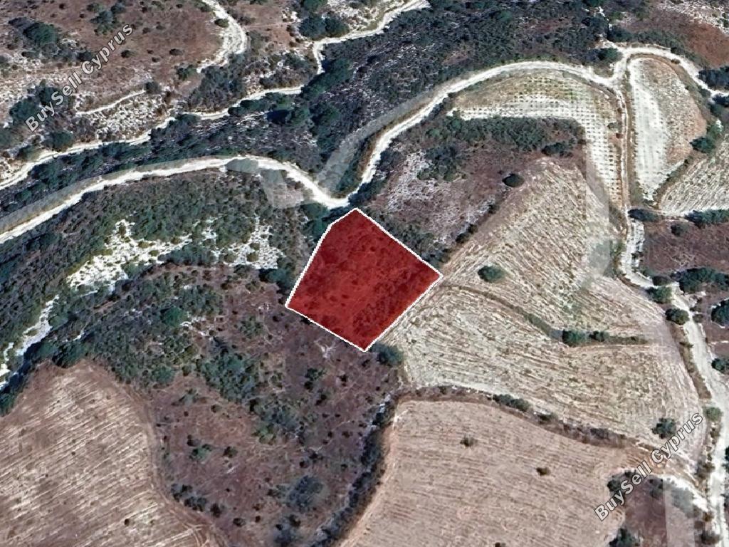 land for sale salamiou paphos 8542960 image 16305581