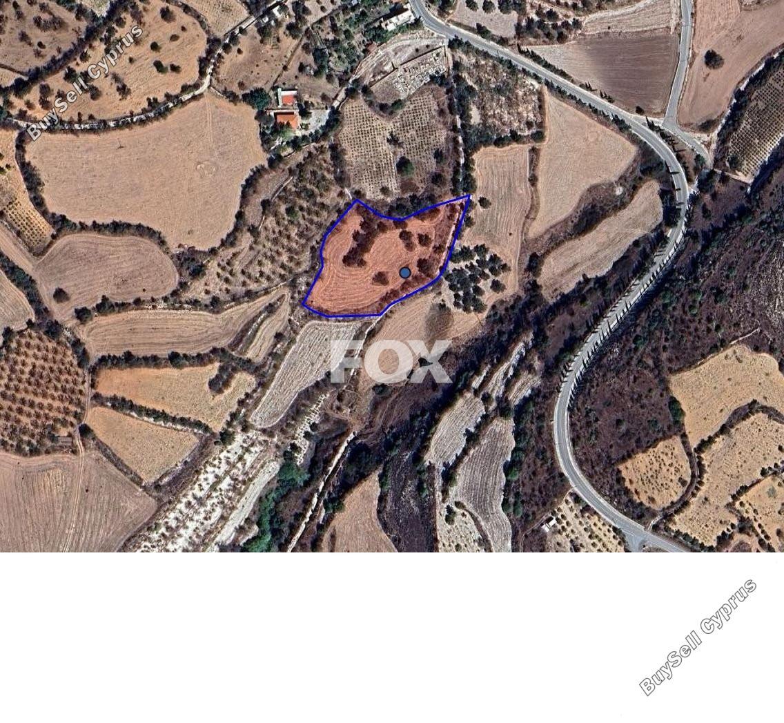 land for sale lasa paphos 1794070 image 14830224