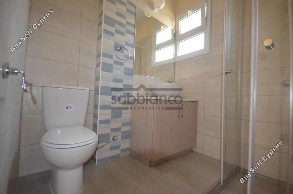3 bedroom detached house for sale tombs of the kings paphos 8747170 image 16448928