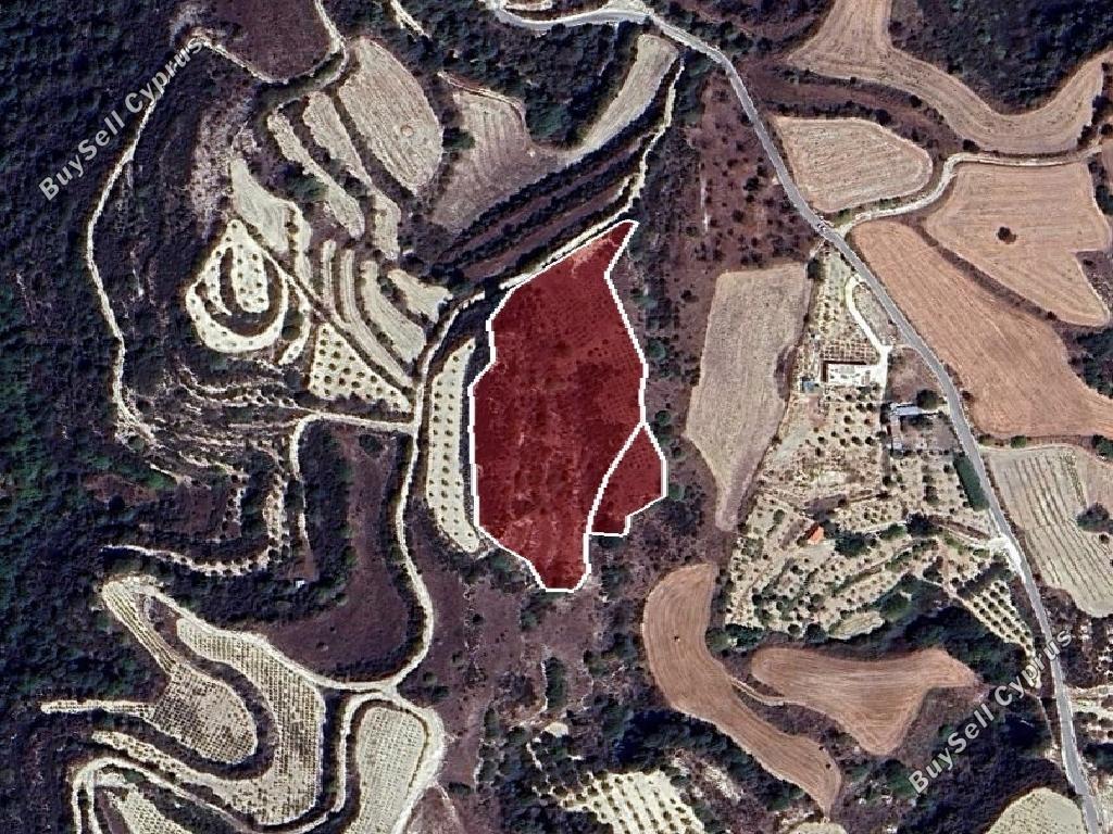 land for sale theletra paphos 8532170 image 16306350