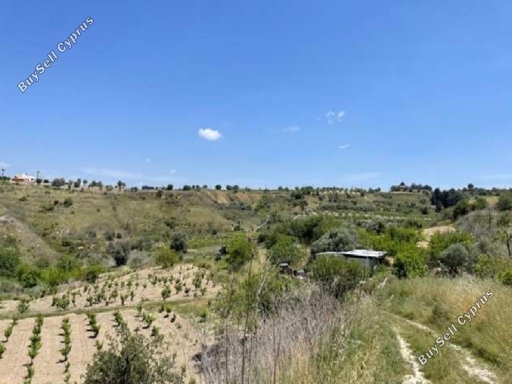 land for sale theletra paphos 982170 image 917817