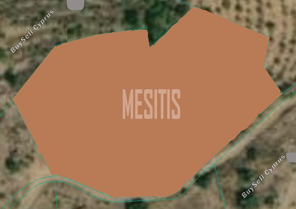 land for sale xyliatos nicosia 975170 image 10476789