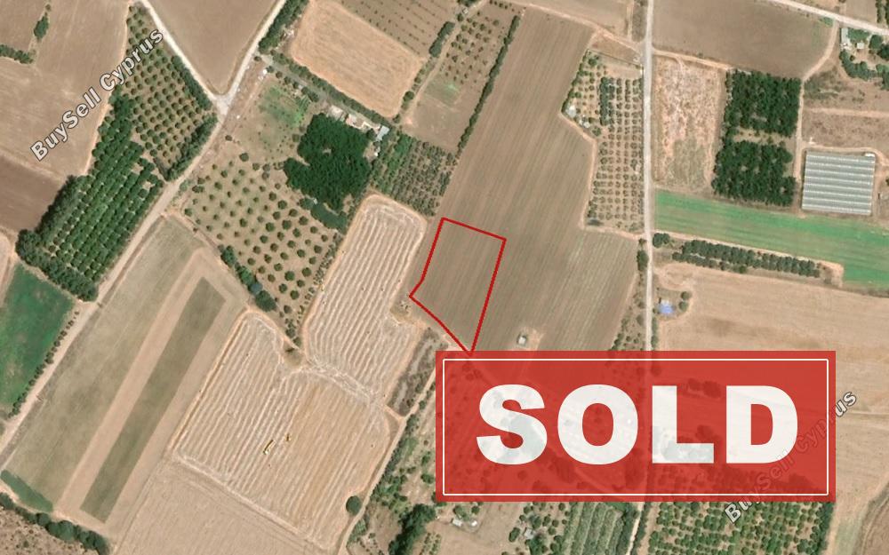 land sold timi paphos 853170 image 719905