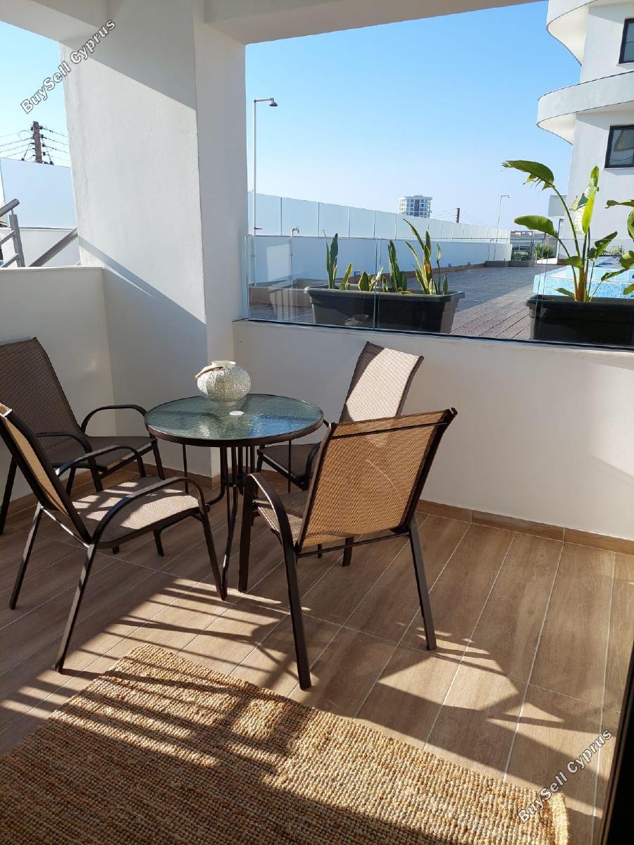 1 bedroom apartment for rent larnaca municipality larnaca 8946270 image 17702428