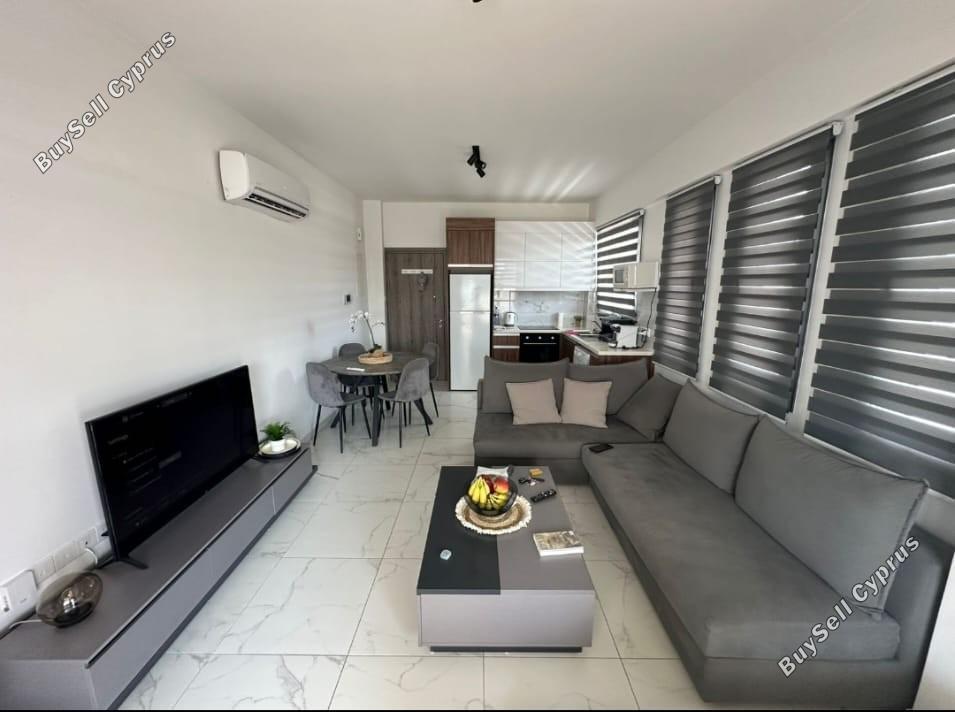 1 bedroom apartment for rent larnaca municipality larnaca 8946270 image 17702433