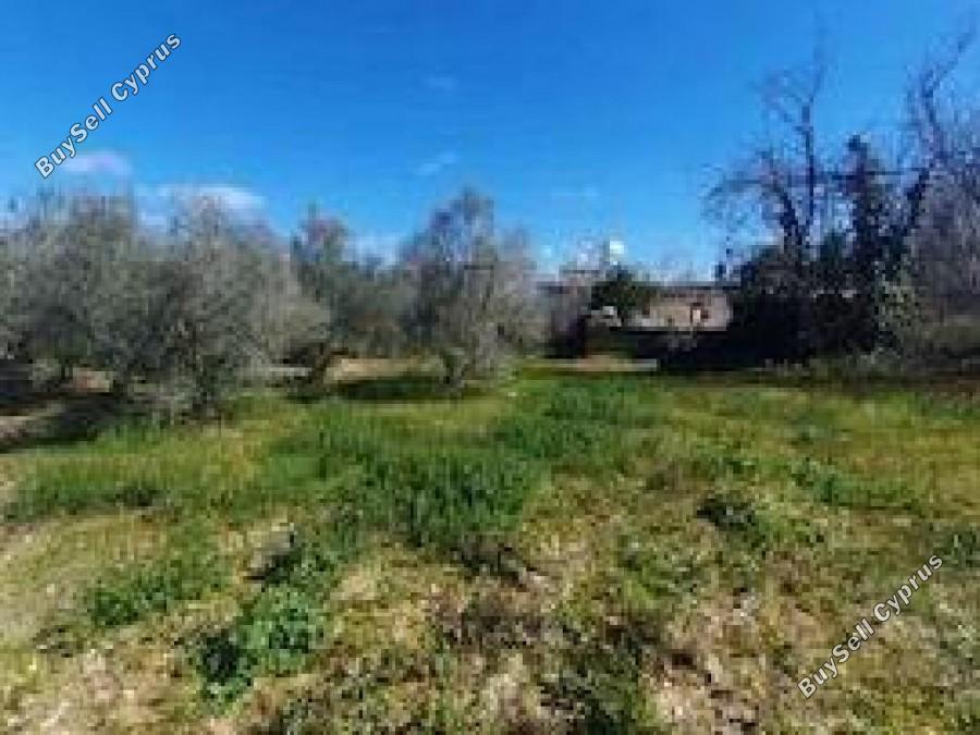 land for sale koili paphos 8839270 image 17043285