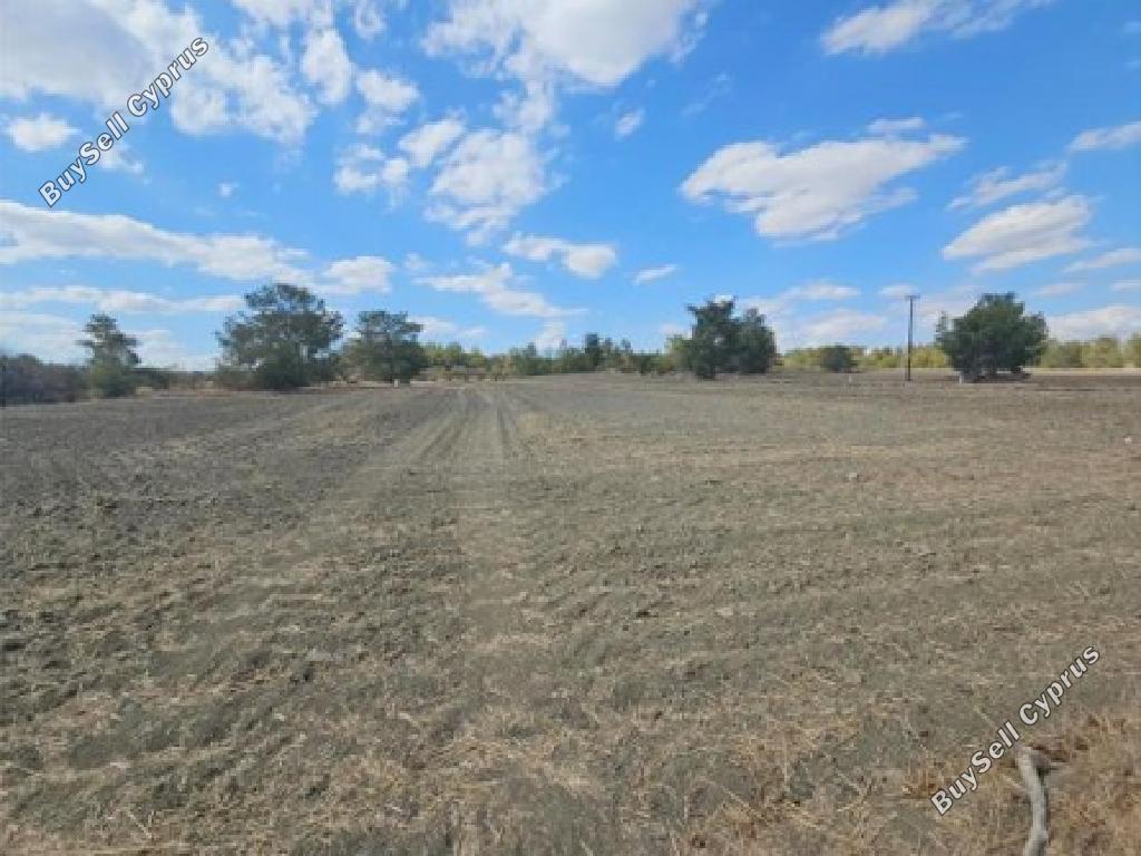 land for sale lythrodontas nicosia 7953270 image 17694802