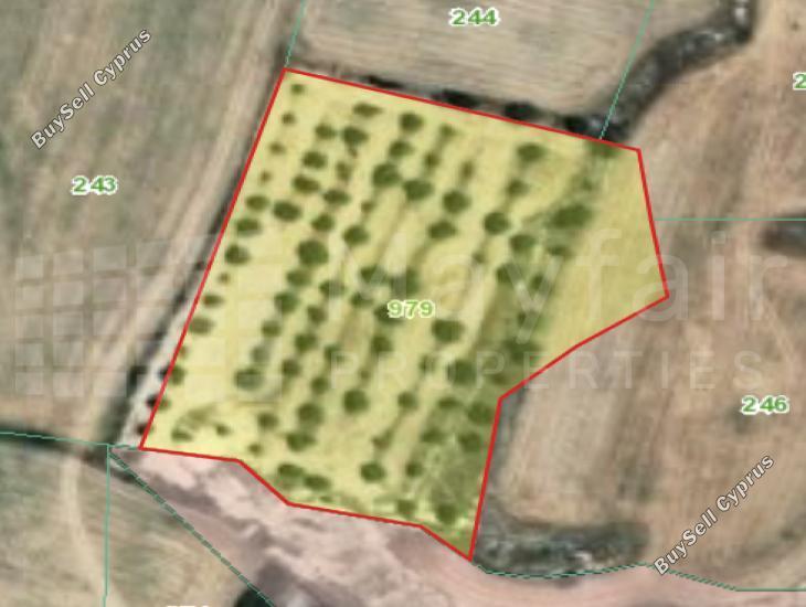 land for sale oroklini larnaca 8434270 image 15007153