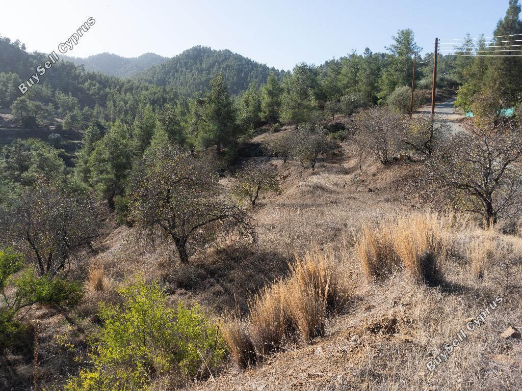 land for sale xyliatos nicosia 946270 image 2988154