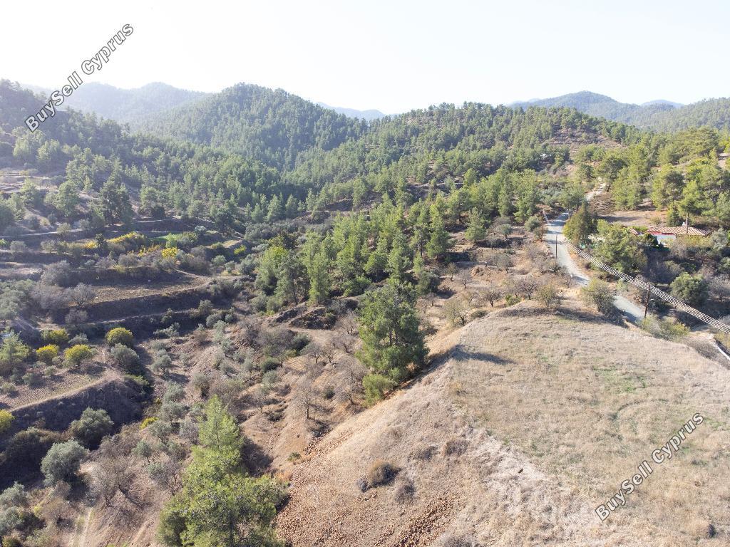 land for sale xyliatos nicosia 946270 image 2988171
