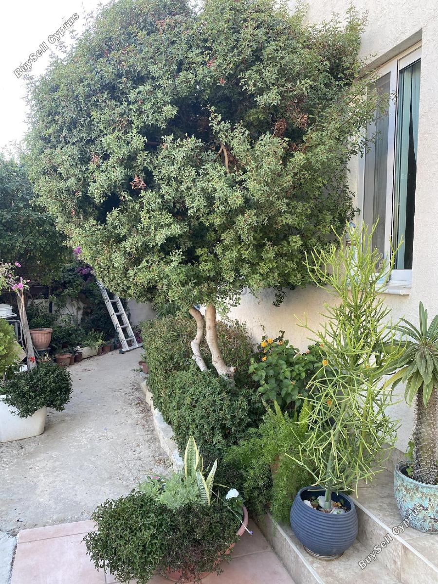 3 bedroom detached house for sale agios athanasios limassol 1873370 image 14516292
