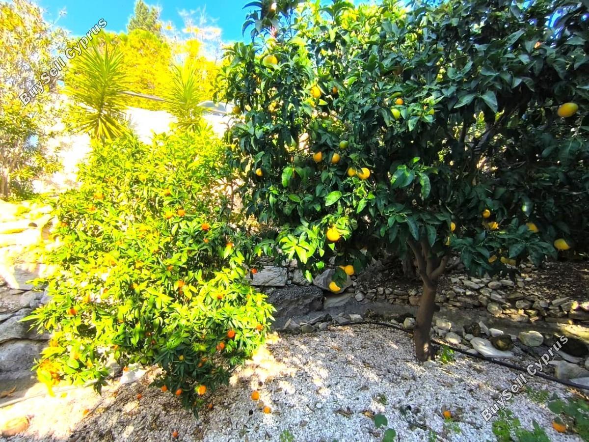 3 bedroom detached house for sale kamares tala paphos 8903370 image 17385090