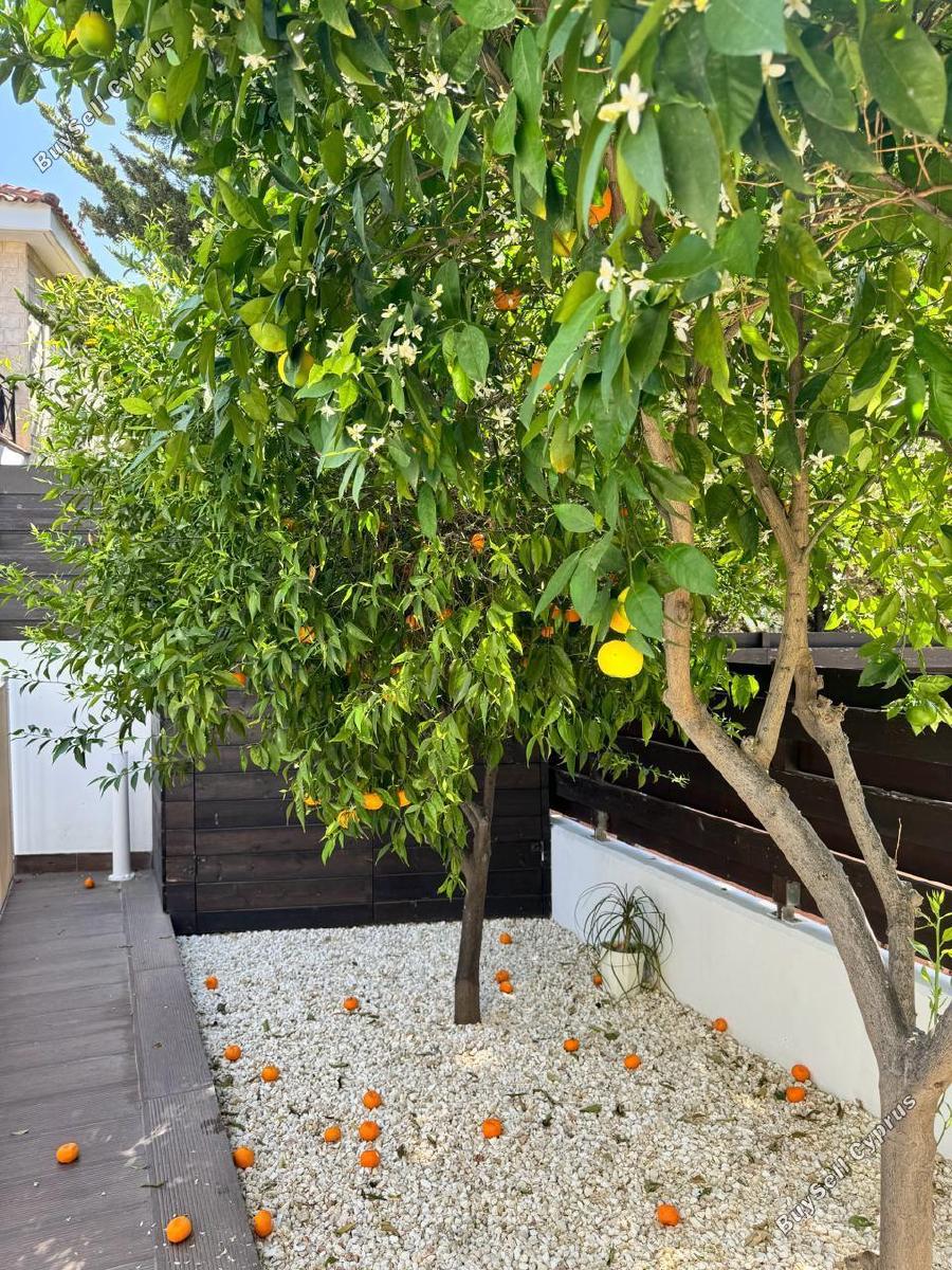 5 bedroom detached house for sale pyrgos limassol limassol 1678370 image 16283602