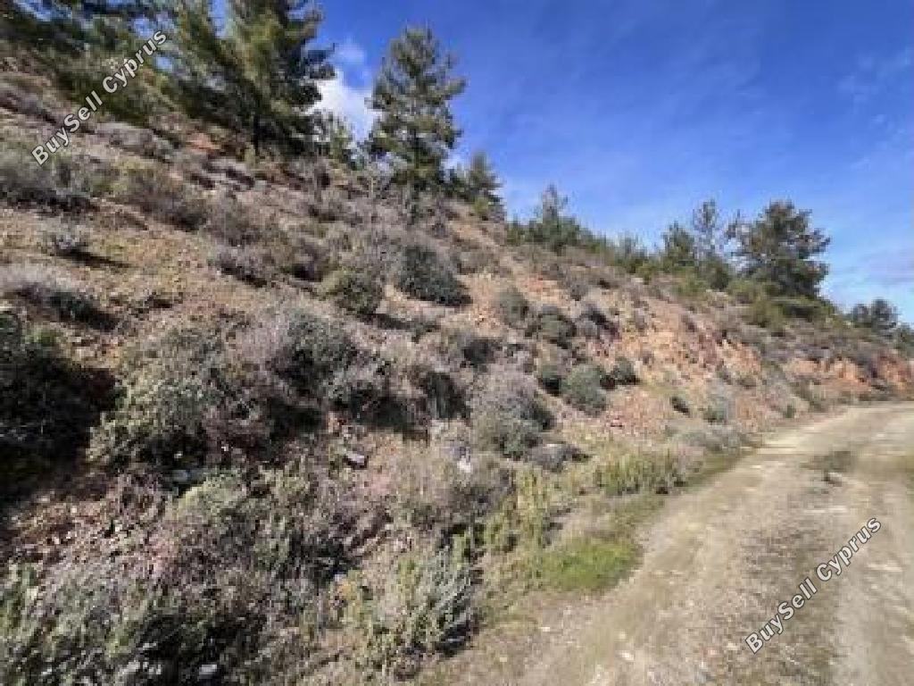 land for sale palaichori morfou nicosia 8140370 image 15596139