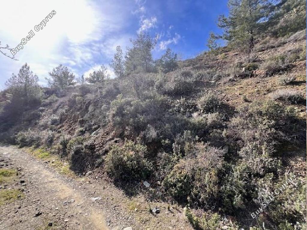 land for sale palaichori morfou nicosia 8140370 image 15596140