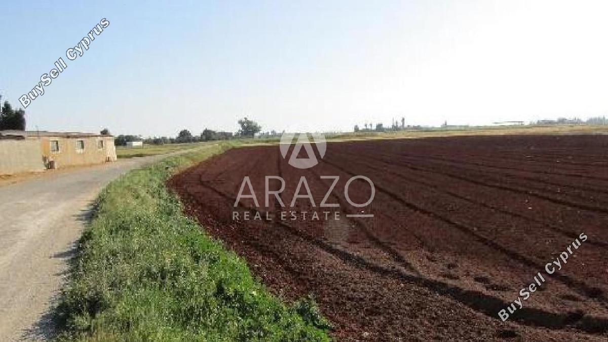 land for sale avgorou famagusta 8833470 image 17004170