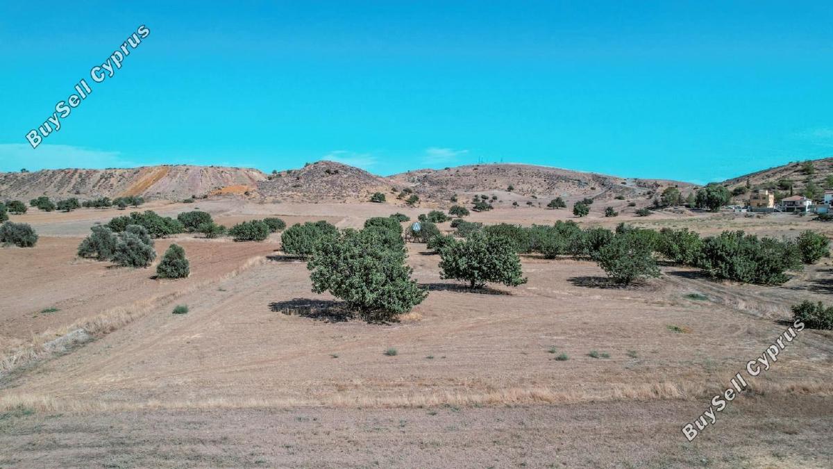 land for sale troulloi larnaca 1536470 image 5654704