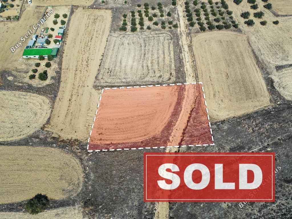 land sold geri nicosia 826470 image 6041822