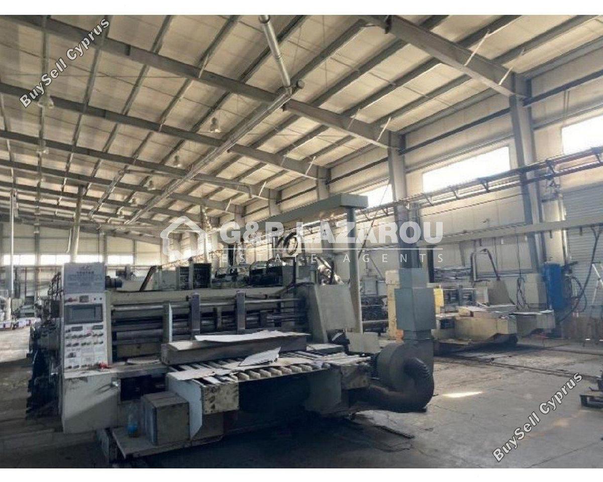studio warehouse for sale kokkinotrimithia nicosia 8076470 image 15902506
